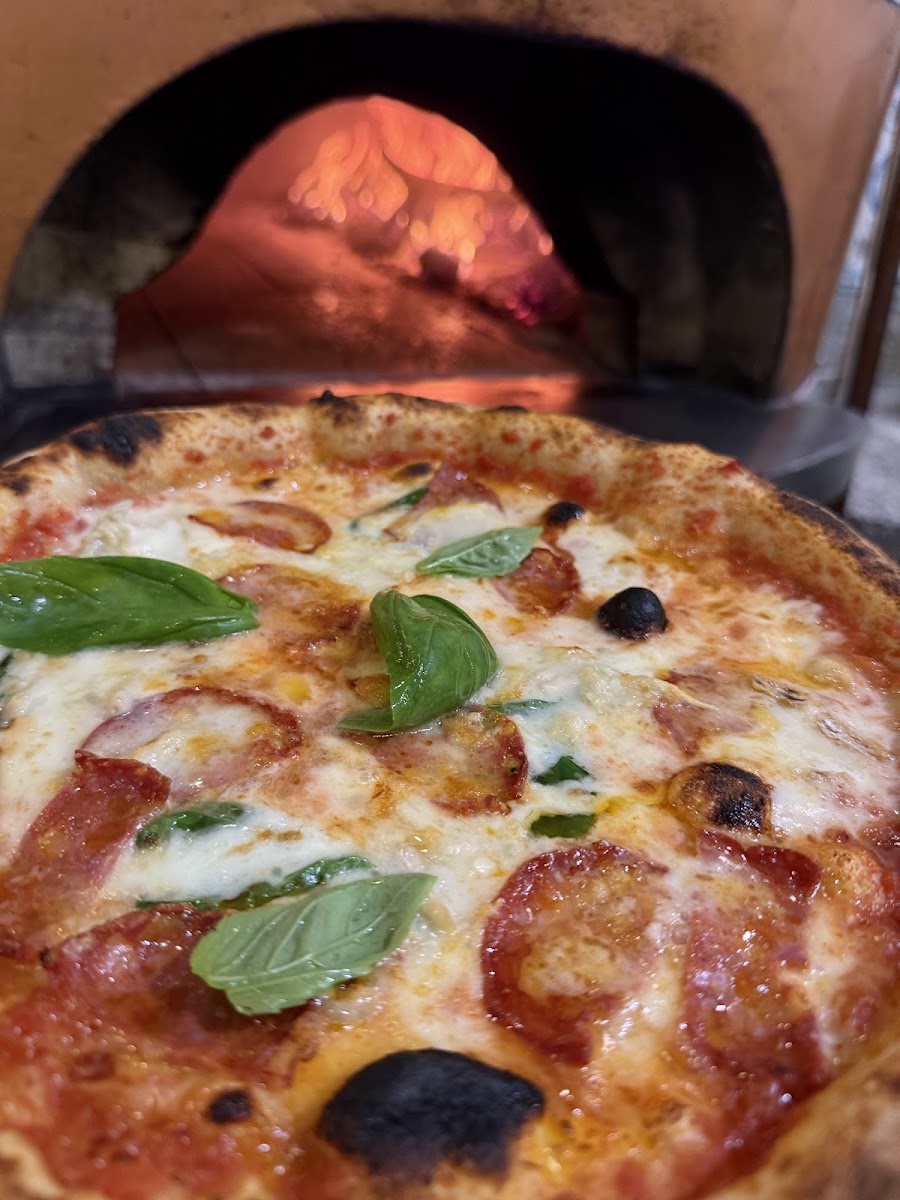 Borriello | Pizza & Cucina Photo 3