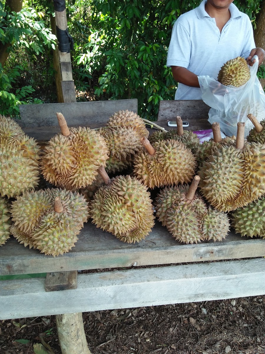 Warung Kak Daa Photo 2