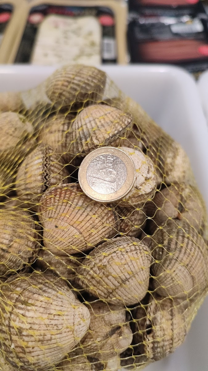 El Faro de Oviñana Cetárea de Mariscos Photo 5