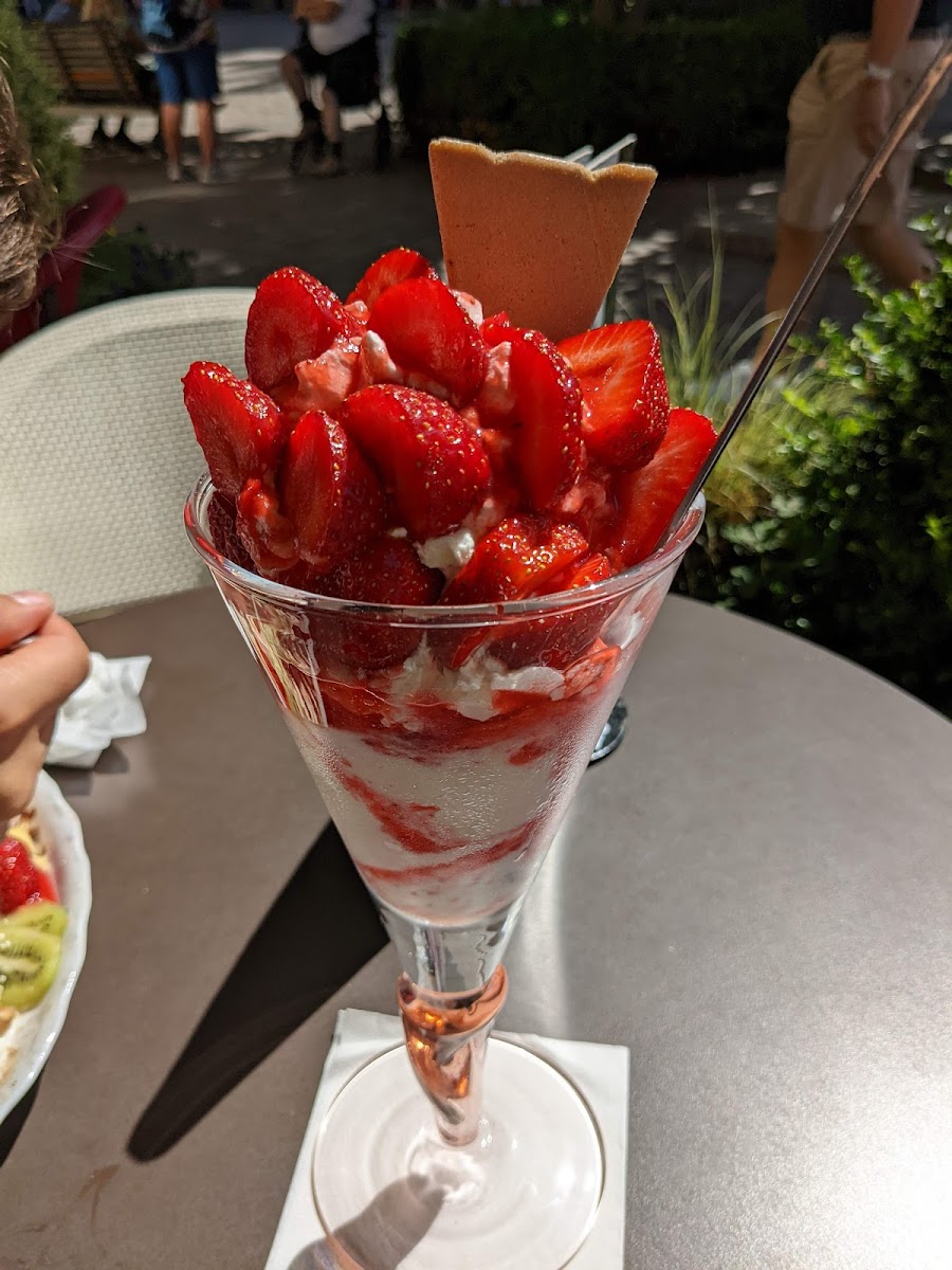 Gelato Mio Photo 10