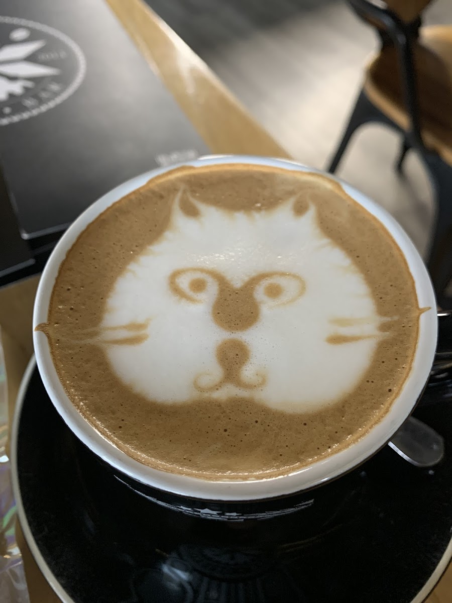 Shift Espresso Bar | Kloof Street Photo 4