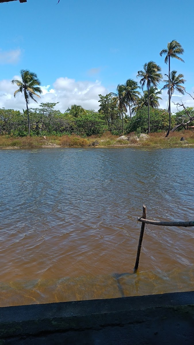 Lagoa do Rogério Photo 3