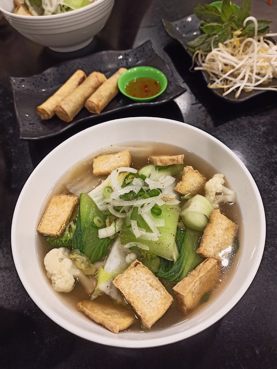 PHO 333 GOLD COAST Photo 8