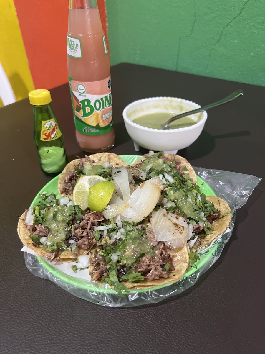 Taqueria Rolas Jr Photo 8