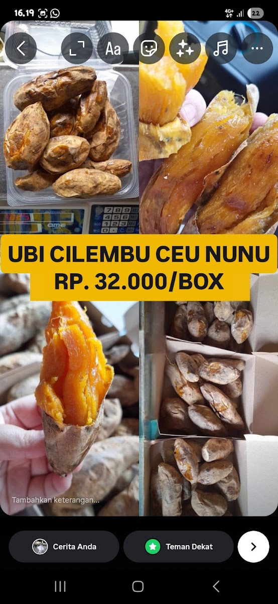 Ubi Cilembu Ceu Nunu Korpri Photo 6