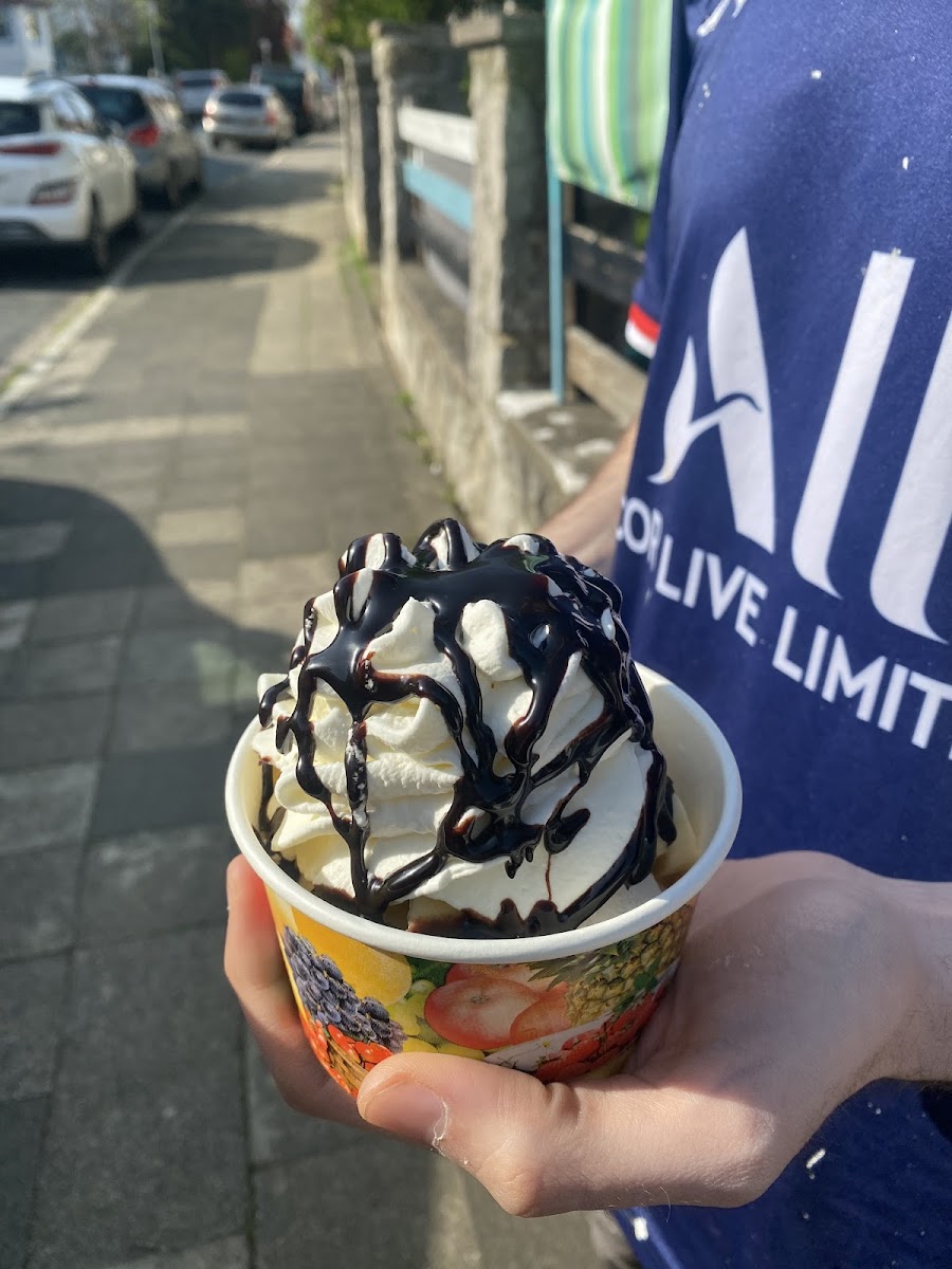Eis-Insel Photo 8