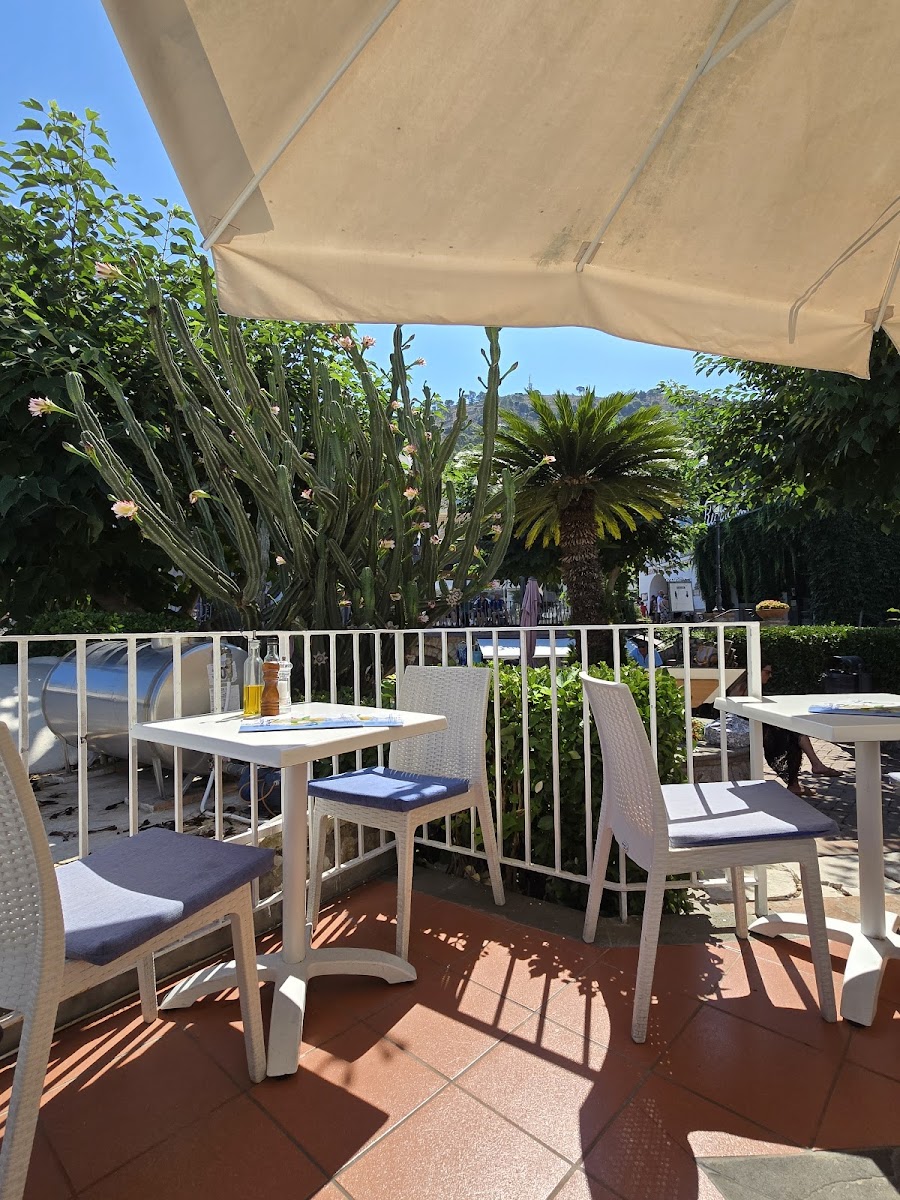 Blue Lizard Restaurant