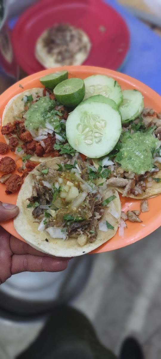 Tacos F Díaz