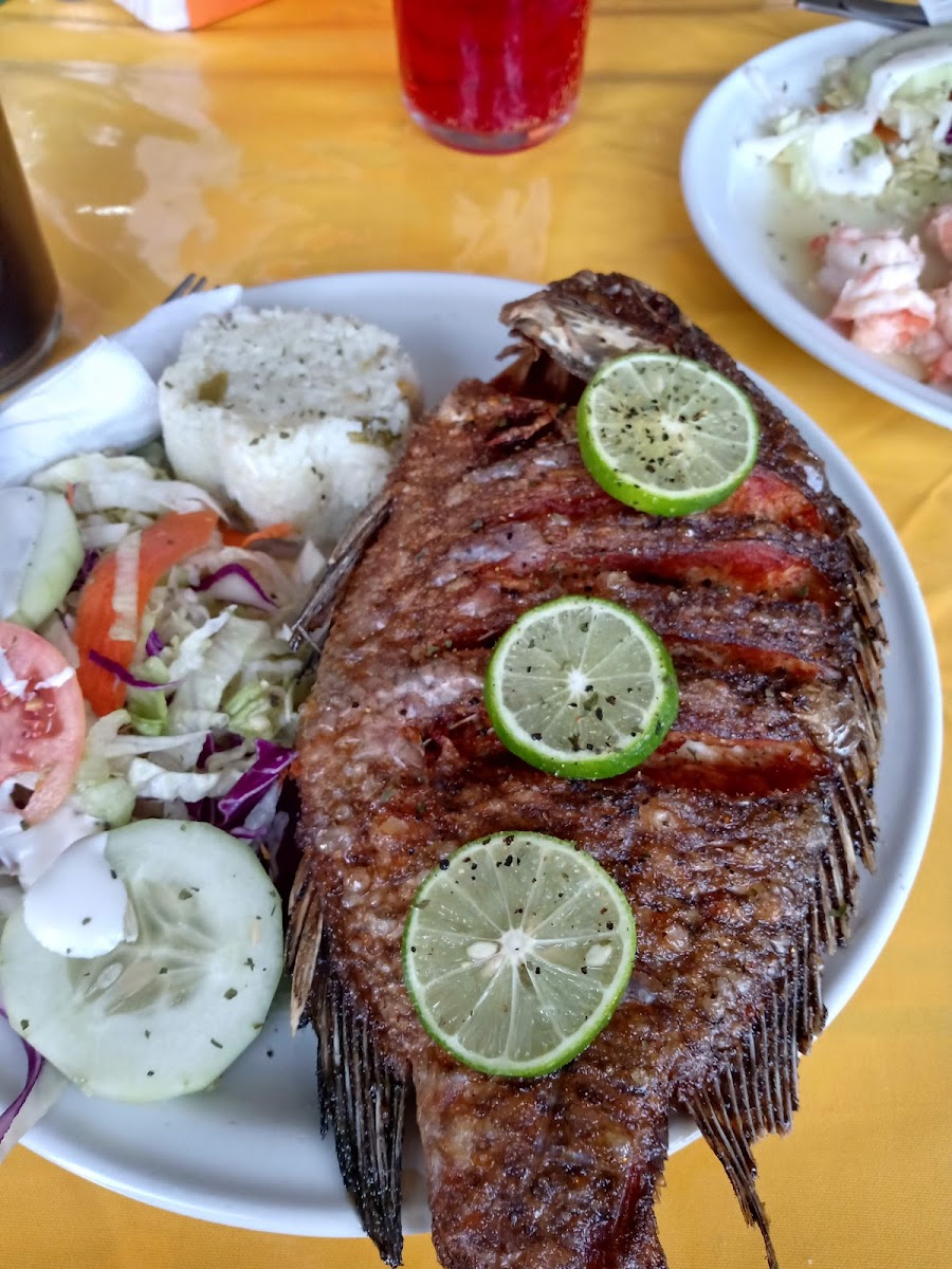 El Mar - La Mejor cocina de Mazatlan Photo 8
