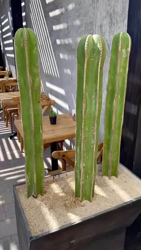 Cilantro´s Grill and Chill Photo 2