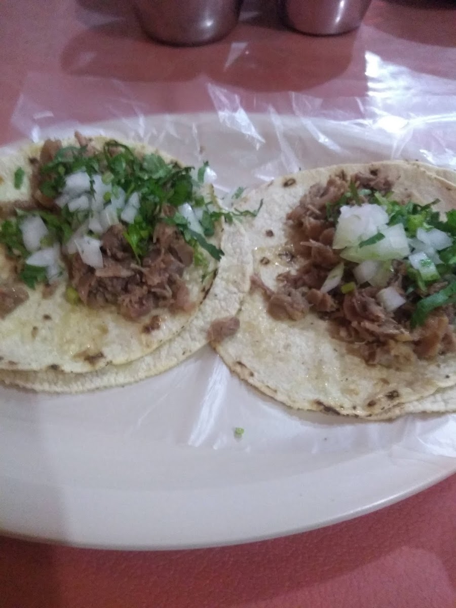 Taqueria 'Julian' Photo 10