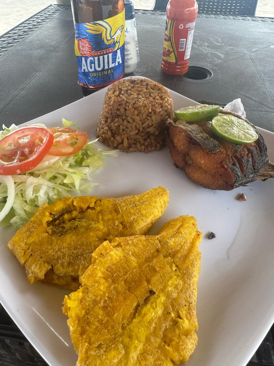 Las Delicias De La Niña Alo Photo 4