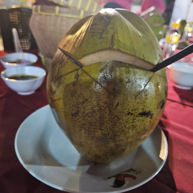 Kelapa Muda