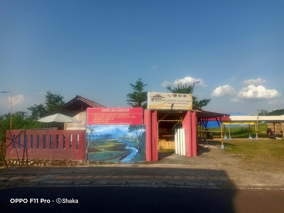 RM. Saung Naga Photo 3