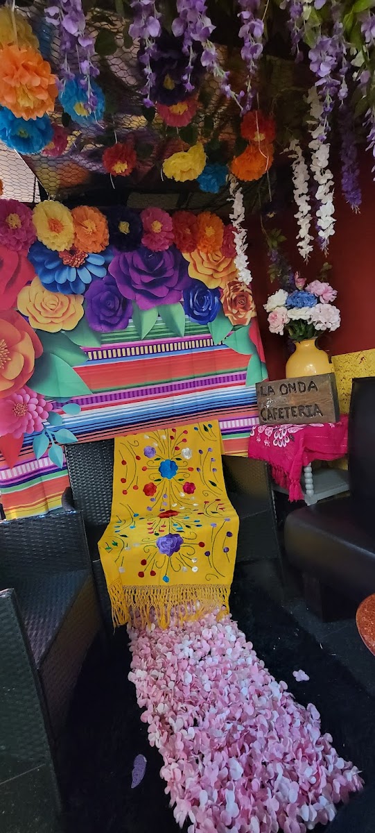 Picardia Mexicana Photo 2