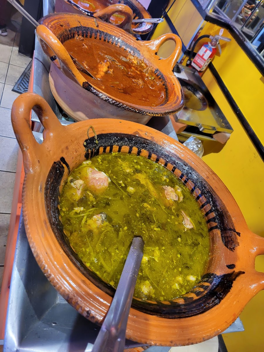 Picardia Mexicana Photo 4