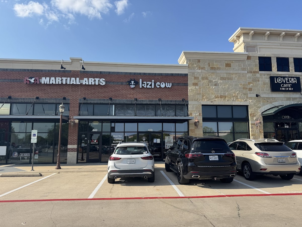 Lazi Cow - Colleyville
