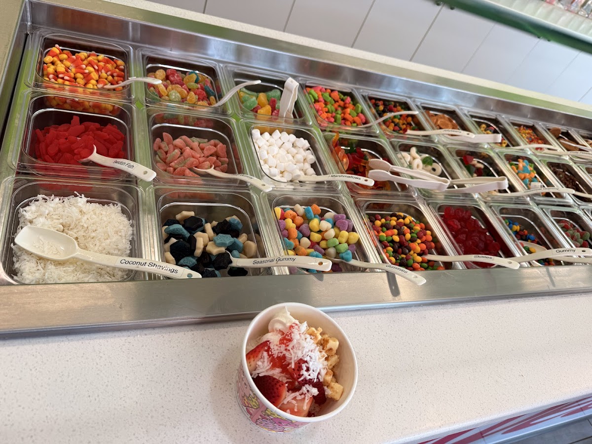 sweetFrog Photo 3