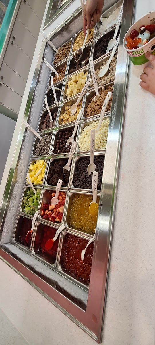 sweetFrog Photo 5