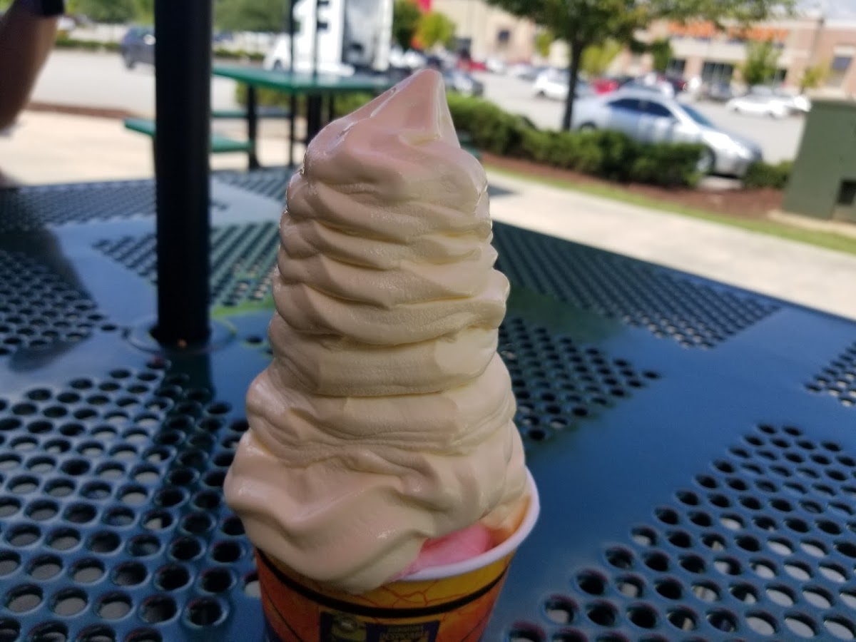 sweetFrog Photo 6