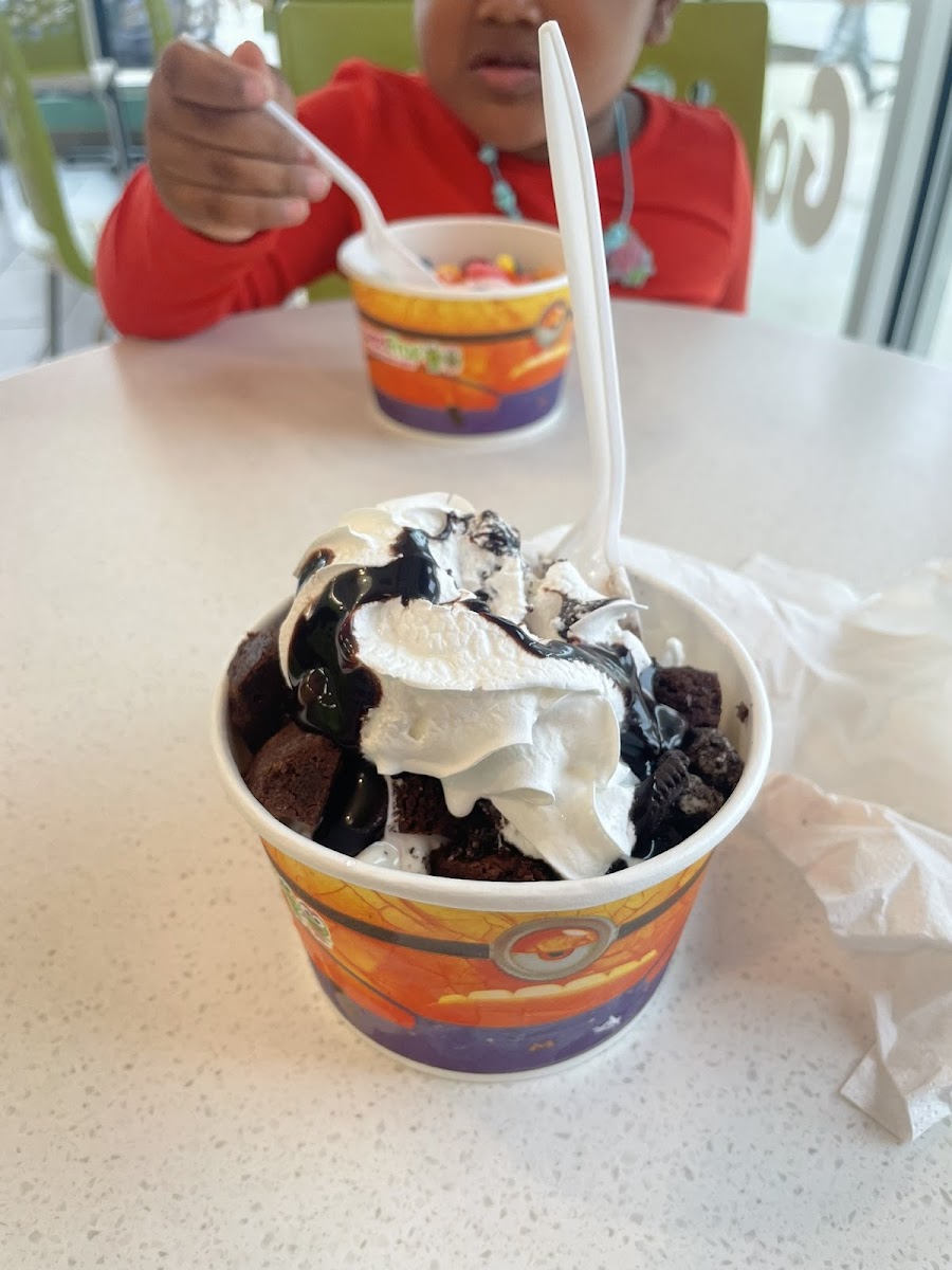 sweetFrog Photo 7