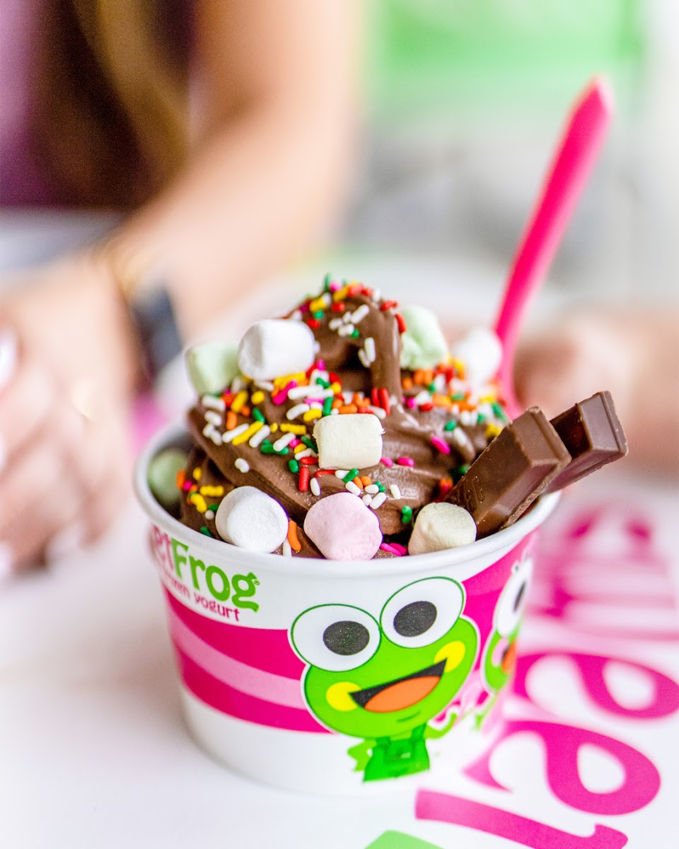 sweetFrog Photo 9