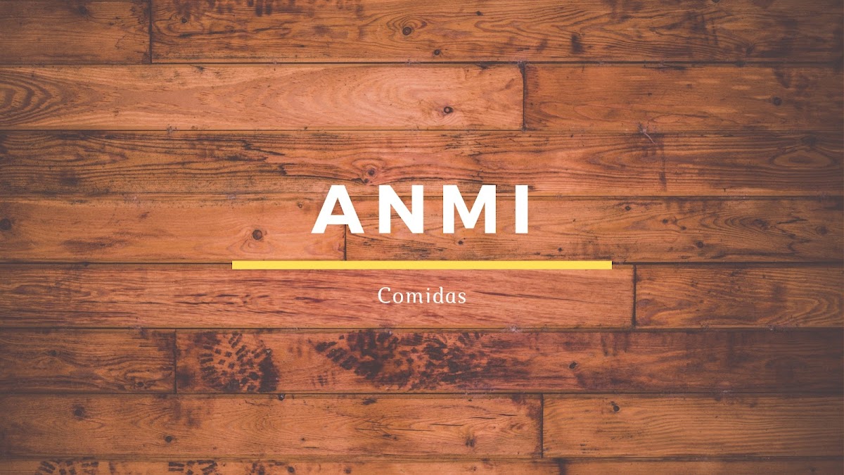 ANMI COMIDAS Photo 2