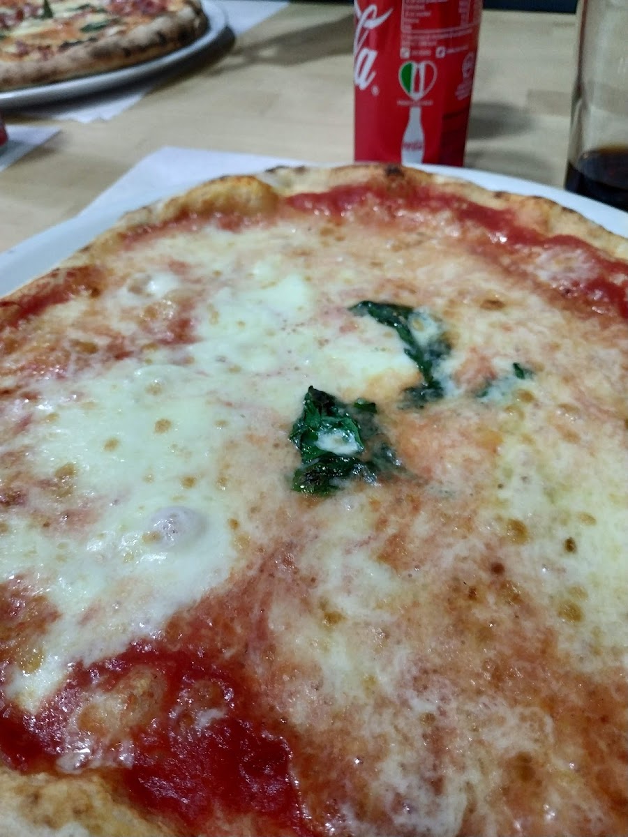 Mondo Pizza D'Auria Photo 5