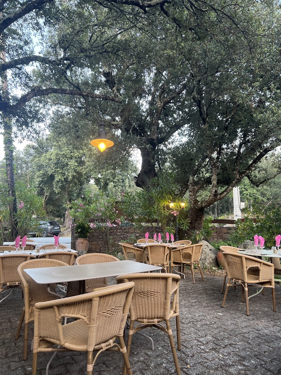 Restaurant Tizarella