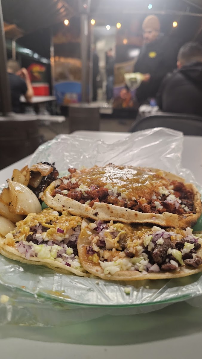 Tacos El Plebe Photo 7