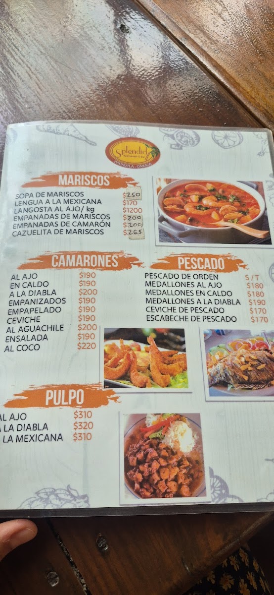 Splendid Restaurant Photo Menu 1