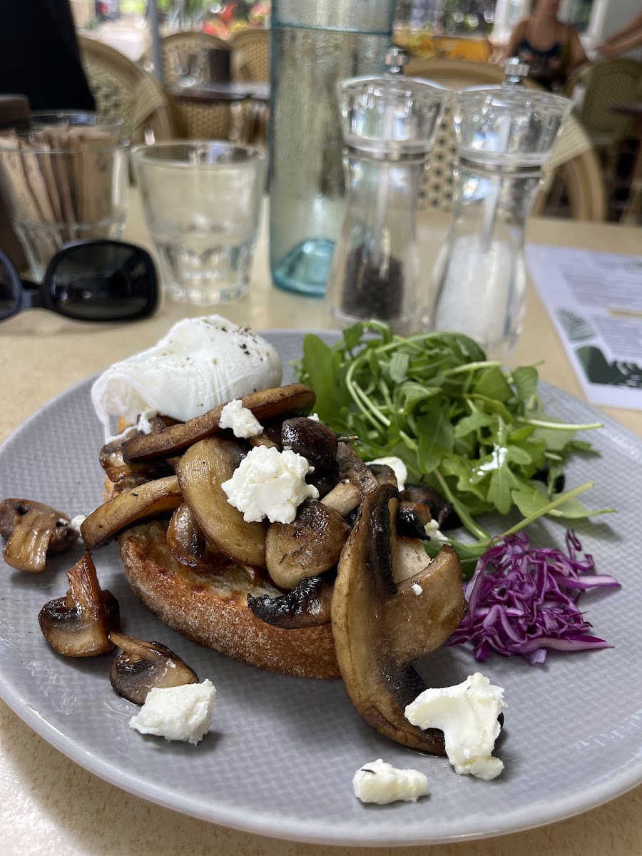 Cafe Nourish Photo 8