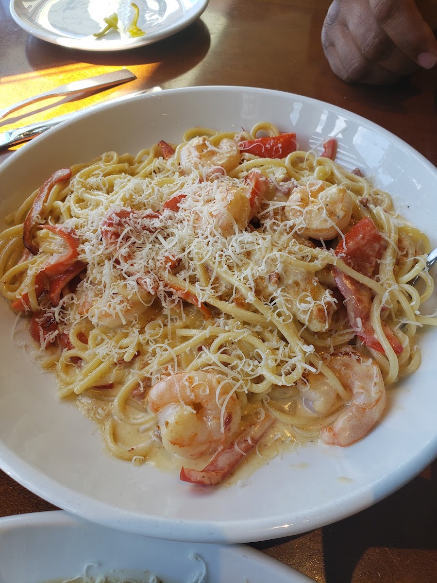 Olive Garden Italian Restaurant Photo 9