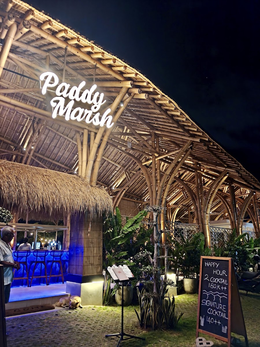 Paddy Marsh