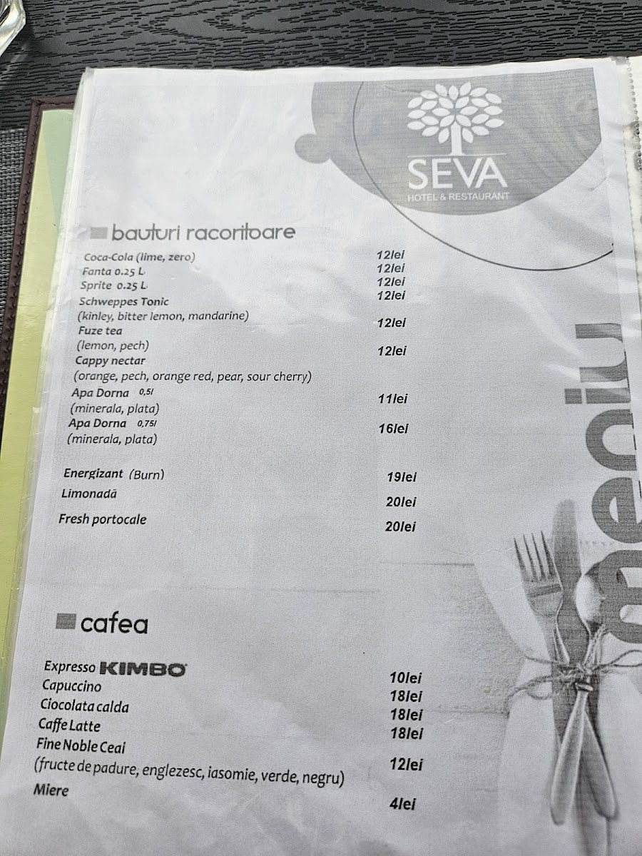 Seva Photo 4