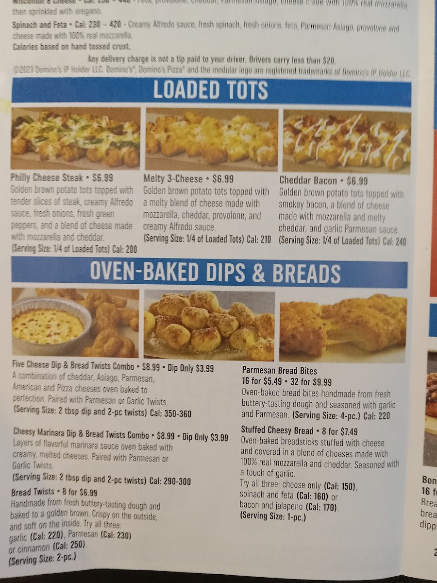 Domino's Pizza Photo Menu 2
