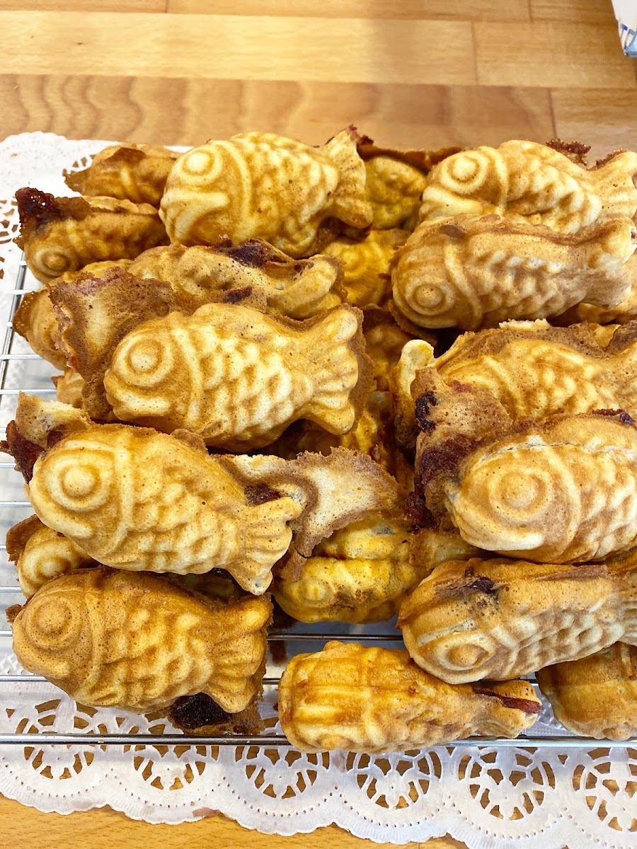 Fika Photo 6