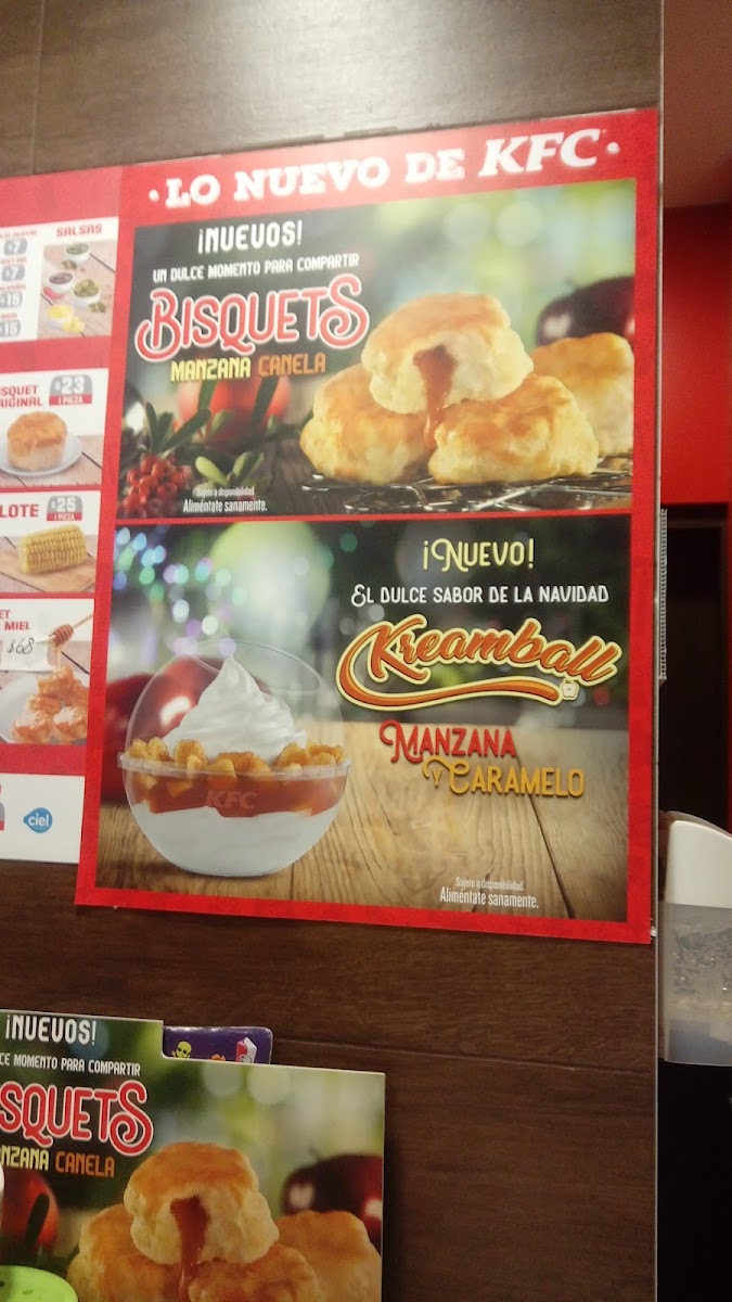 KFC Photo Menu 8