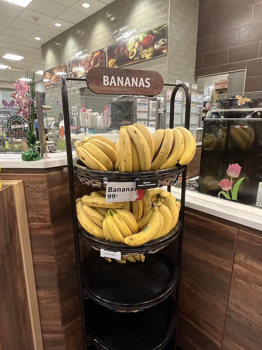 Wawa Photo 5
